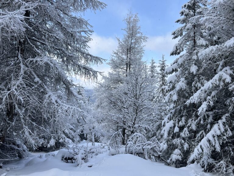 Groß (1_Isergebirge)