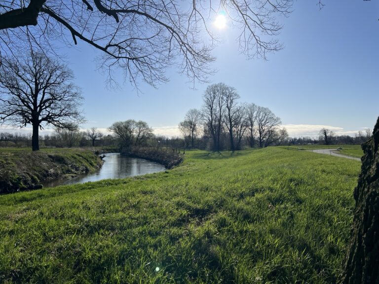 Groß (1_Neissenaue)