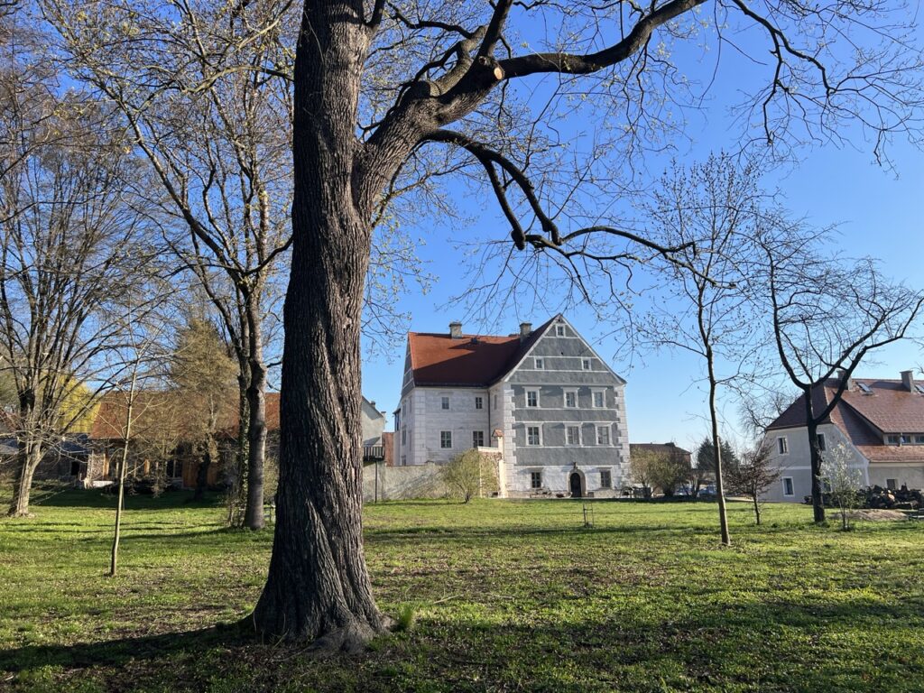 Groß (1_Park)