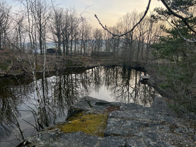 Groß (3_Koenigshainer)