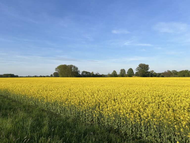 Groß (3_Neissenaue)