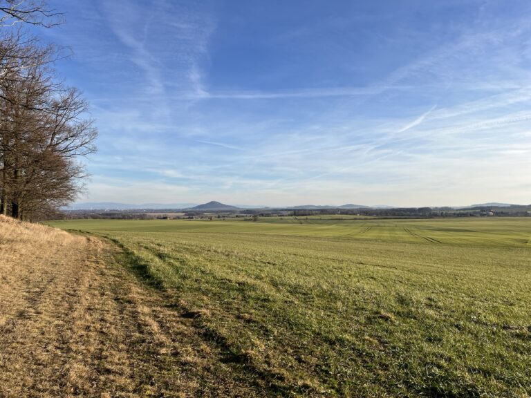 Groß (4_Koenigshainer)