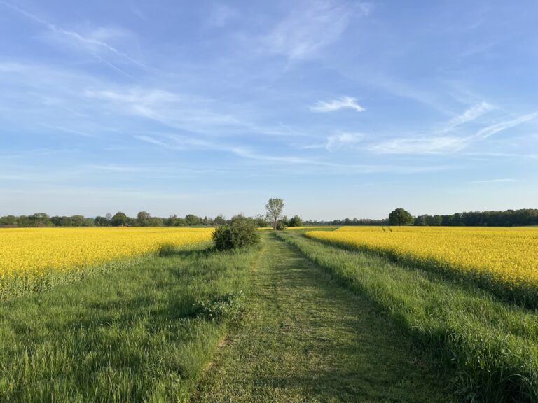 Groß (4_Neissenaue)